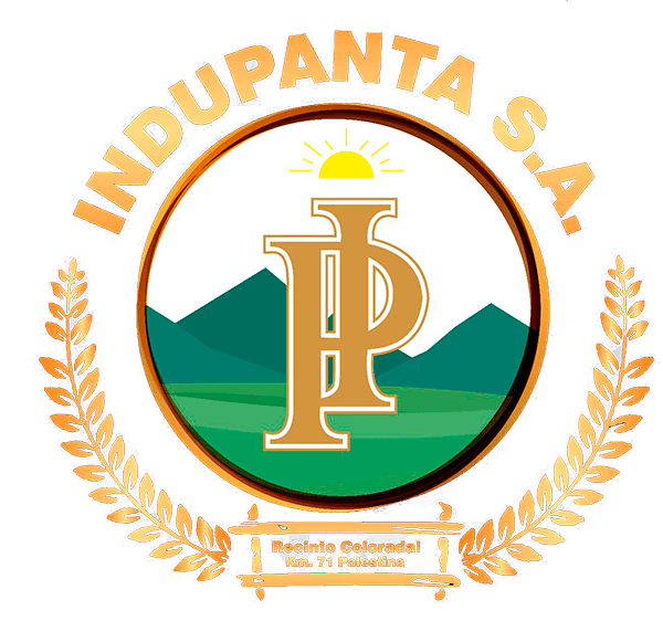 Logo Empresa 35